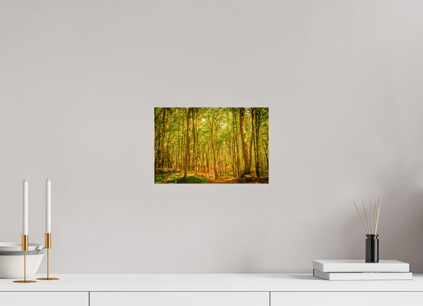 Trees in the Forest