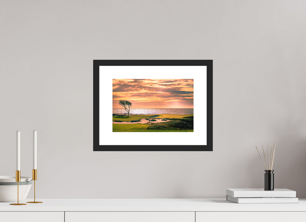 Pebble Beach 17-mile Road