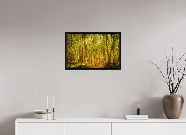 Trees in the Forest