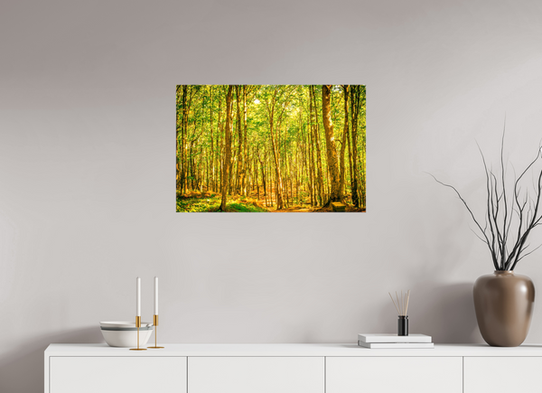 Trees in the Forest