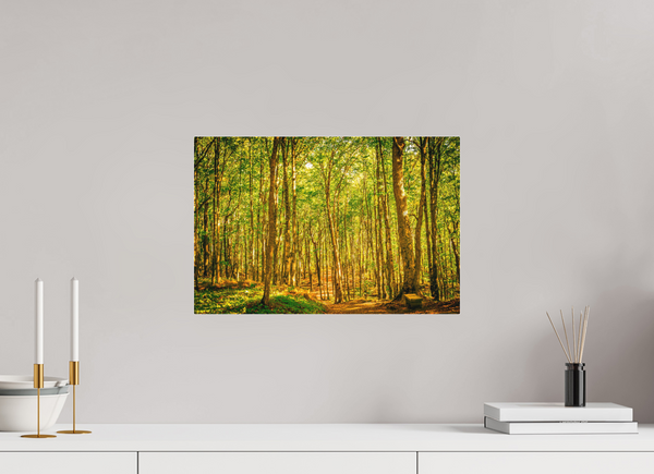 Trees in the Forest