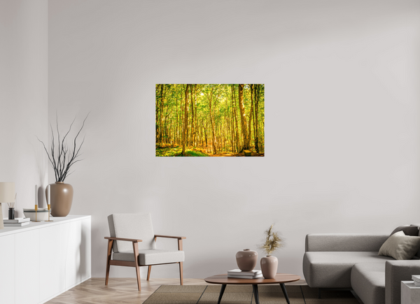Trees in the Forest