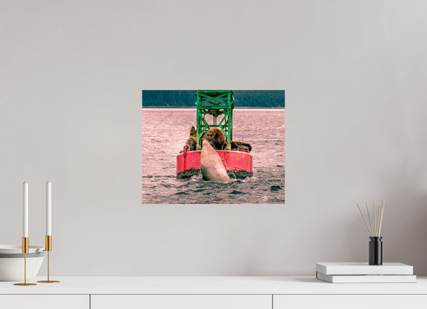 My Buoy