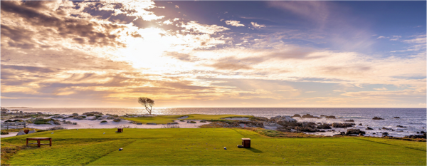 Ocean Green on the Peninsula - Wide-Angle Print