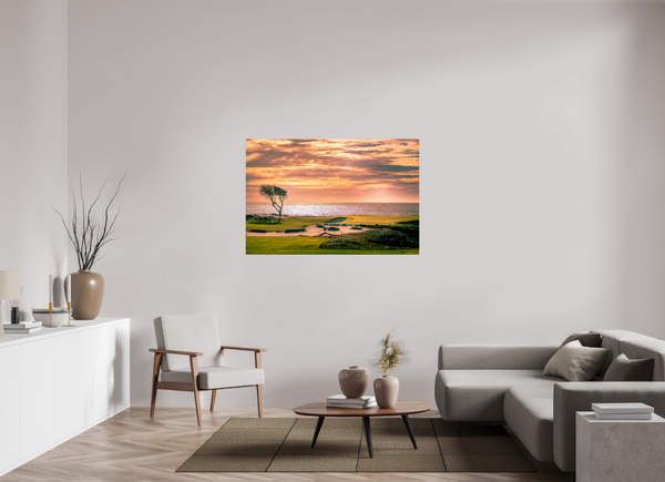 Pebble Beach 17-mile Road