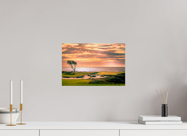 Pebble Beach 17-mile Road