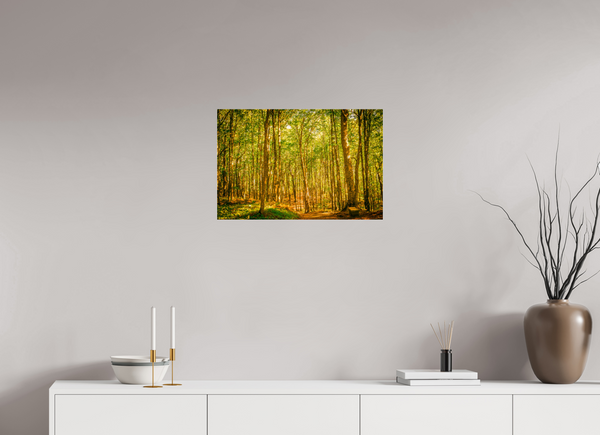 Trees in the Forest