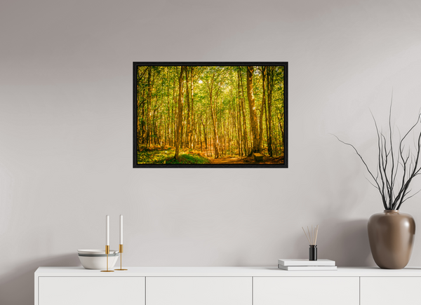 Trees in the Forest