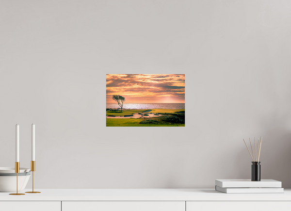 Pebble Beach 17-mile Road