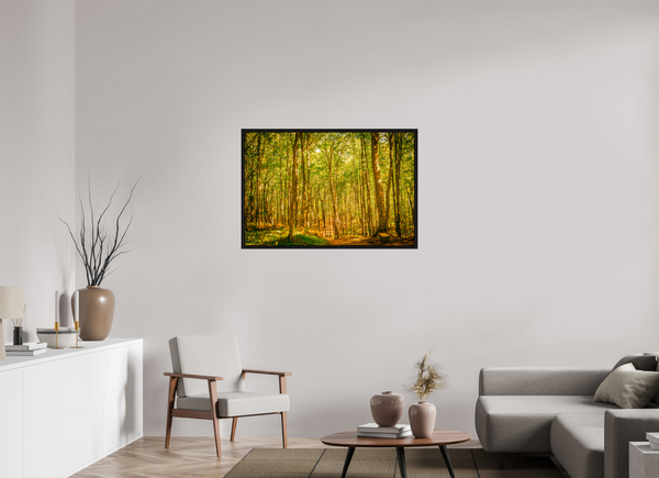 Trees in the Forest