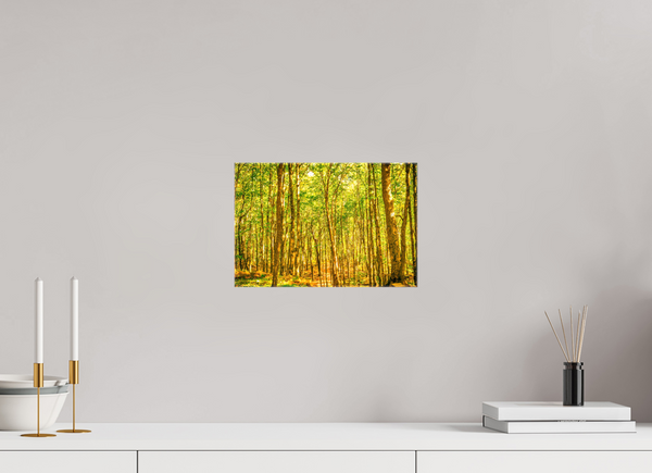 Trees in the Forest
