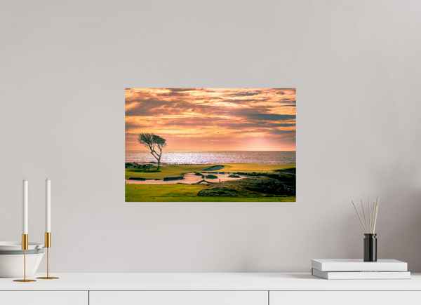 Pebble Beach 17-mile Road