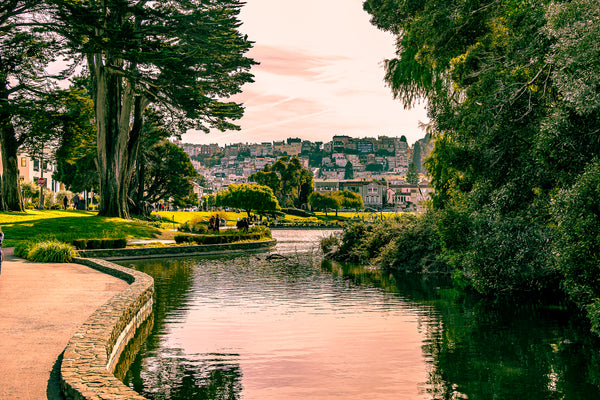 The Grounds of the Palace