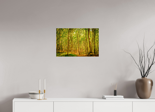 Trees in the Forest