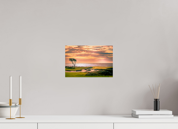 Pebble Beach 17-mile Road