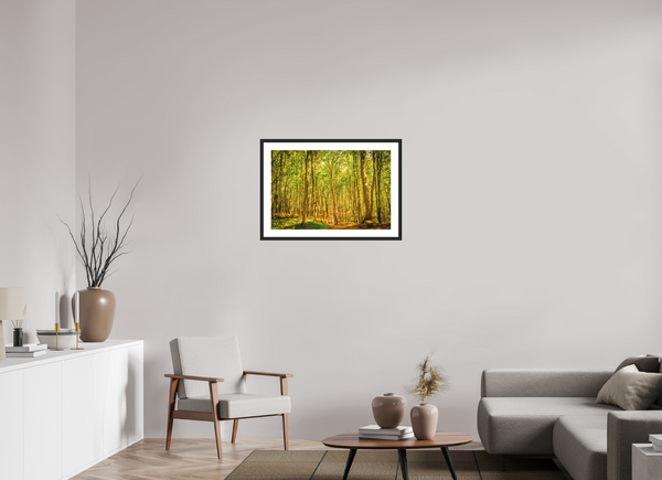 Trees in the Forest