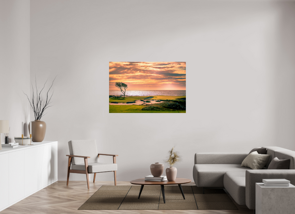 Pebble Beach 17-mile Road