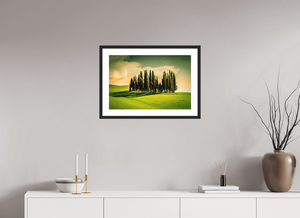 Cypress' in the Dawn