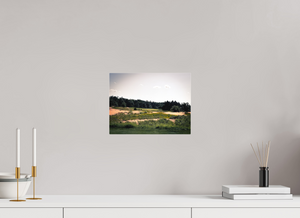 The Dunes of the Forest