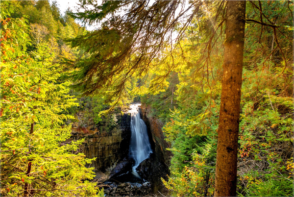 Waterfall in the UP