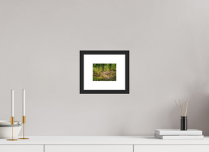 The National Forest of El Yunque