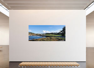 Cypress from 17-mile Drive - Large Print