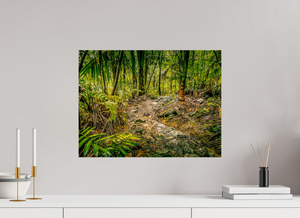 The National Forest of El Yunque