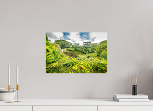 Rainbow Falls Hawaii