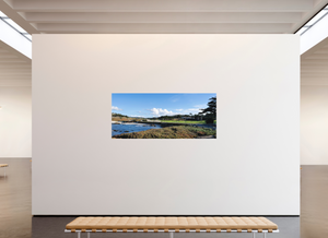 Cypress from 17-mile Drive - Large Print