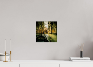 View from the Gondola