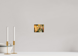 Reflections in Venice