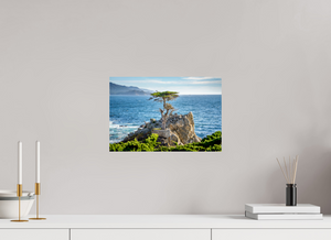 The Lone Cypress