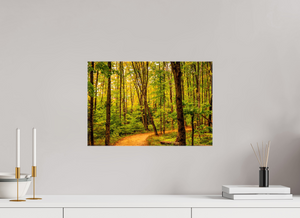 Path to Least Resistance