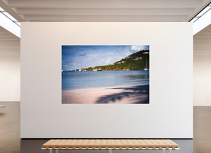 Pelicans Feeding - Large Print