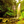 Water falls into Paradises’ Pool