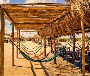 Hammocks on the Beach