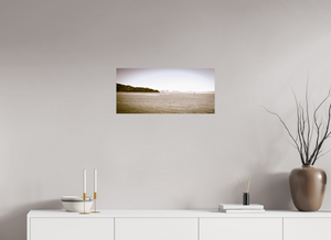 Breathtaking San Francisco Skyline captured from Tiburon's shores, showcasing urban beauty and tranquility.