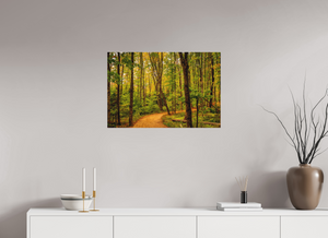 Path to Least Resistance