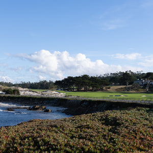 Cypress from 17-mile Drive - Large Print