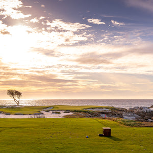Ocean Green on the Peninsula - Wide-Angle Print