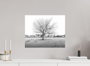 Stunning black-and-white photo, "Winter Sentinel of Grand Haven," showcases winter's beauty in Grand Haven's landscape.