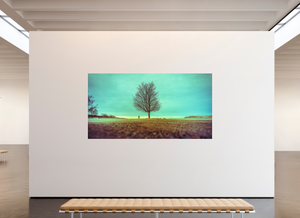 Steadfast in the Wind - Large Print