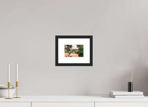 The Grounds of the Palace