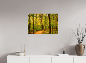 Path to Least Resistance