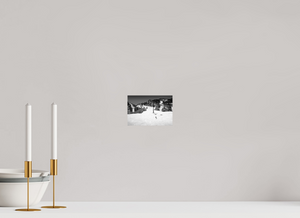 Aspen in Black and White