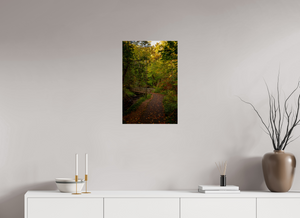 Bridge through the Forest