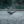 Graceful Entry - Large Print