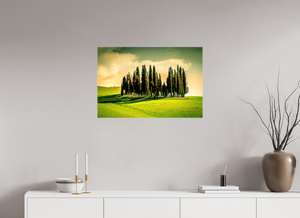 Cypress' in the Dawn