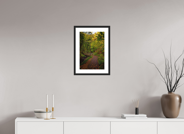 Bridge through the Forest