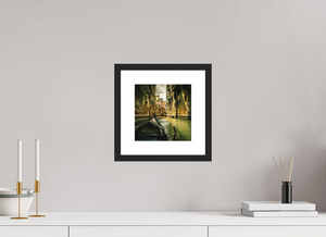 View from the Gondola